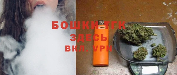 шишки Баксан