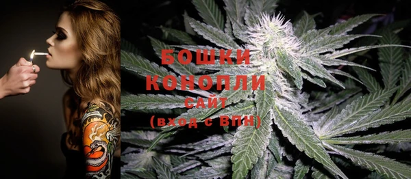 дмт Сосновоборск