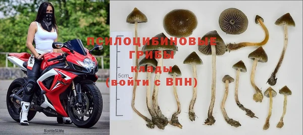 шишки Баксан