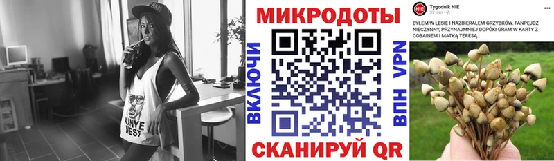 Псилоцибиновые грибы ЛСД цена Кувандык