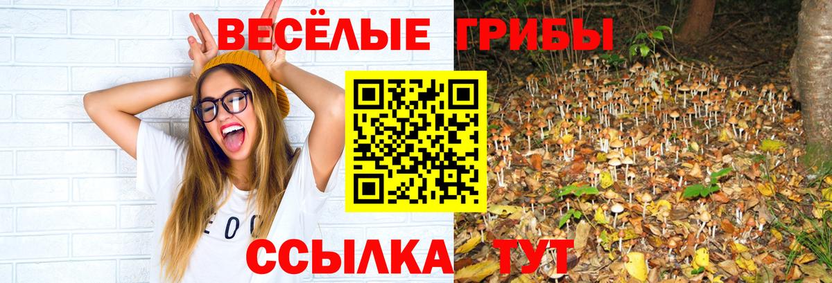 Галлюциногенные грибы ЛСД Кувандык