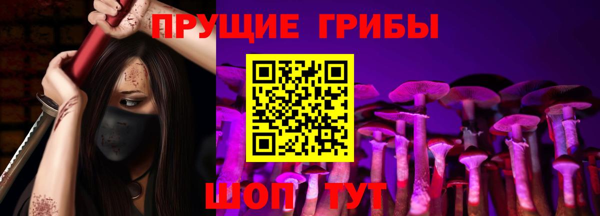 Псилоцибиновые грибы Psilocybine cubensis  Вход с VPN  как найти   Псилоцибиновые грибы Psilocybine cubensis  Кувандык 